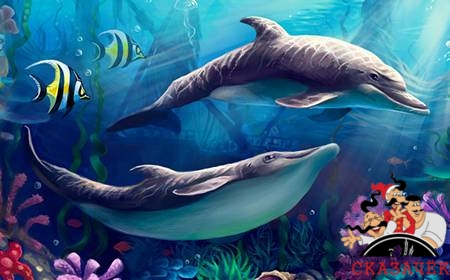 Дельфины и пескарь