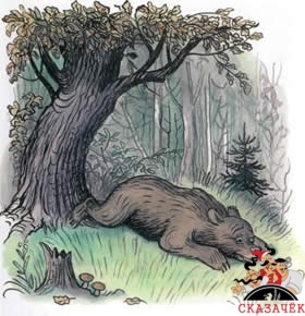 Дядя Миша медведь лежит на траве в лесу рядом мышь