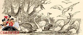 Лебединое гнездо-Авторские
