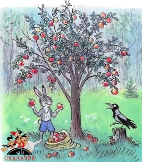 яблоня заяц и ворона мешок яблок