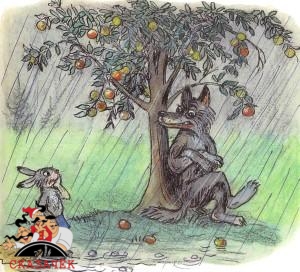 заяц под дождем под яблоней волк