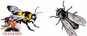 Муха и Пчела