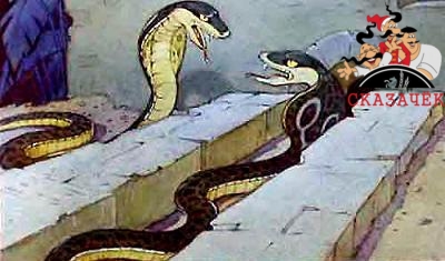 Змеи Наг и Нагайна кобры