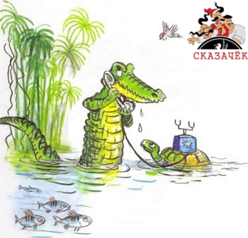 Телефон крокодил черепаха вода 