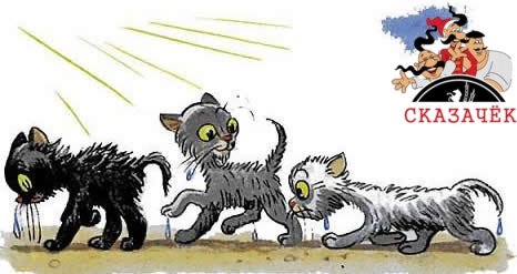 Три котёнка читать Владимир Сутеев